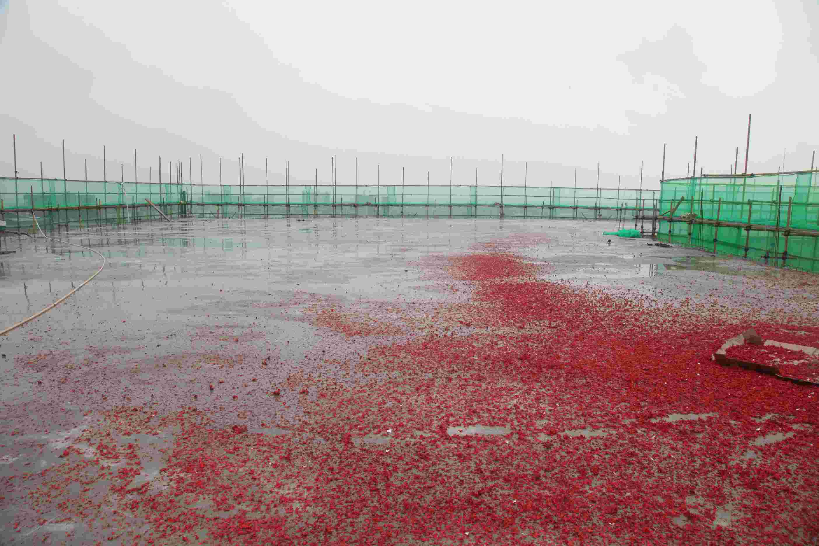 202310301698632374570187.jpg IMG_2380.jpg